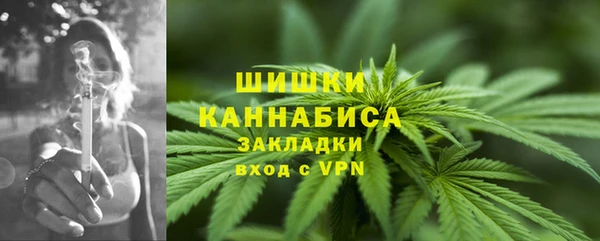 стаф Горнозаводск