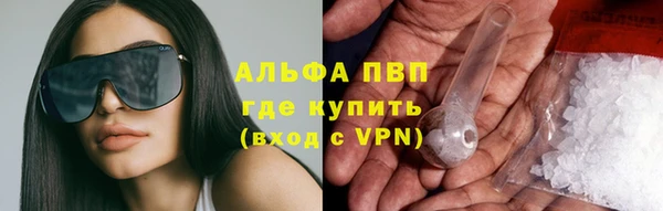 стаф Горнозаводск