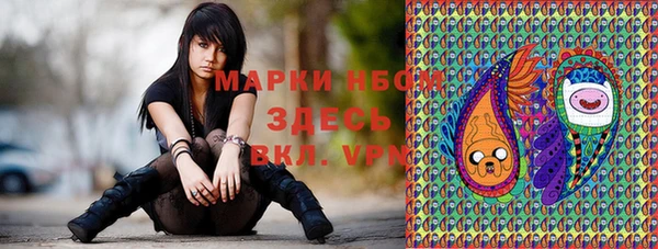 стаф Горнозаводск