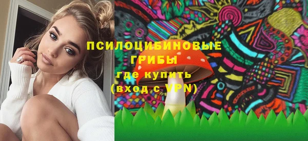 гидропоника Горно-Алтайск