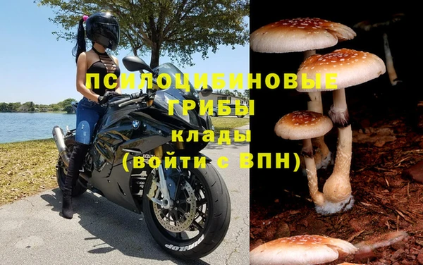 стаф Горнозаводск